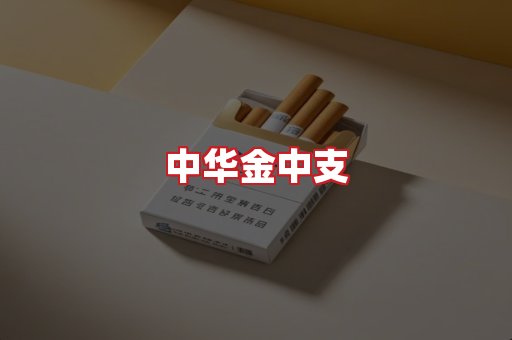 中华金中支